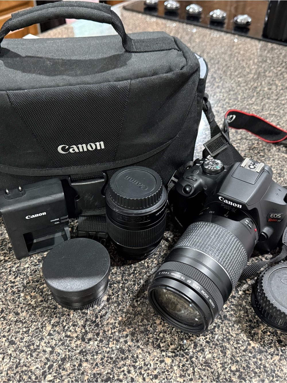 Canon EOS Rebel T7 DSLR Camera Kit in Black with Accessories